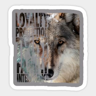 Wolf guide Sticker